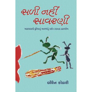 Sadi Nahi Savarani <br>સળી નહીં, સાવરણી